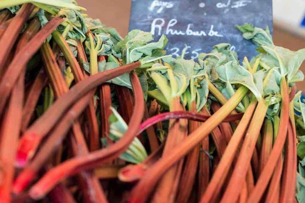 Les Hortensias Chambre Independante Avec Sdb Et Toilettes Privees Dans Une Maison En Foret Proche Du Golf Et De La Plage Entree Independante Avec Acces Prive Le Touquet エクステリア 写真